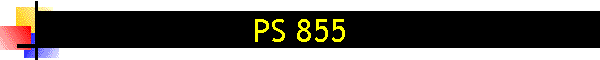 PS 855